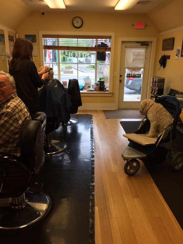 Finished cut at Fresh Cuts NY
